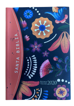 Bibel Reina Valera 2020 mehrfarbig, Spanisch